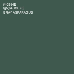 #40594E - Gray Asparagus Color Image